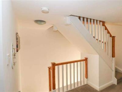 Picture 11